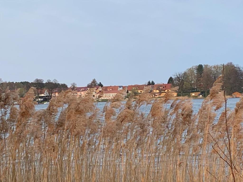 Schwantje Mirow 6b — Mirow — photo 5