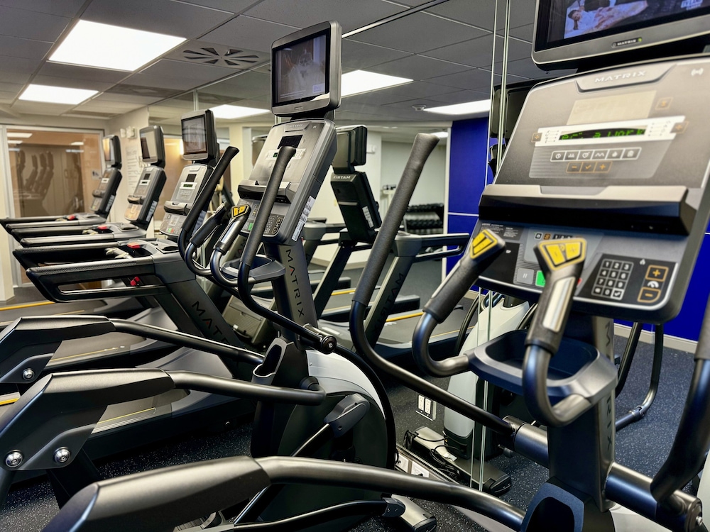 Holiday Inn Express Hotel & Suites Tampa Northwest Oldsmar by IHG - photo 31