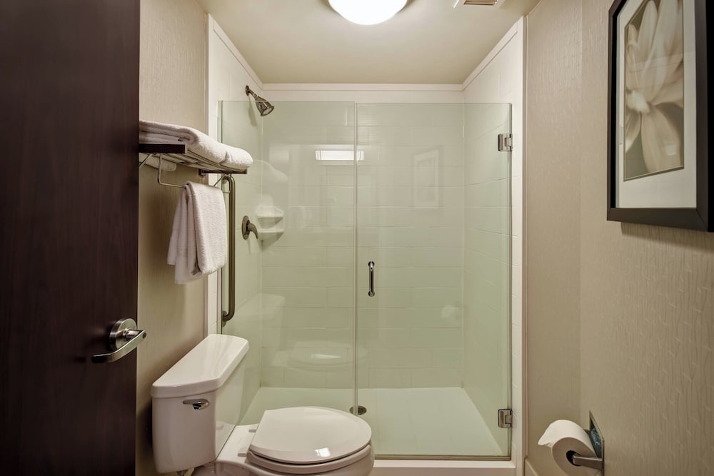 Springhill Suites by Marriott Louisville Airport - photo 29