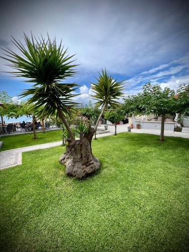 Villa Maria apartments — 4-Star Luxury Hotel in None, Greece