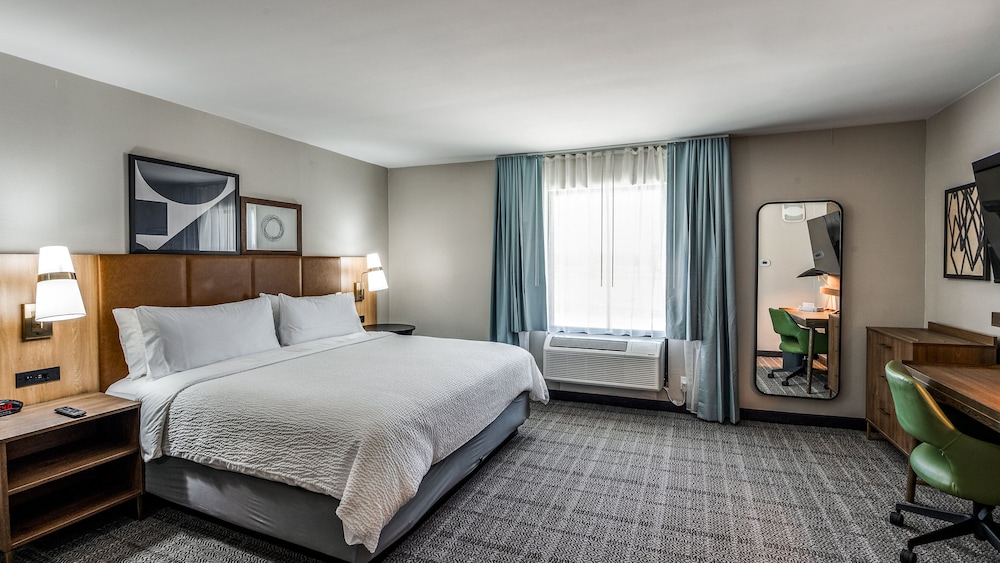 Staybridge Suites Dallas Market Ctr Love Field by IHG - photo 17