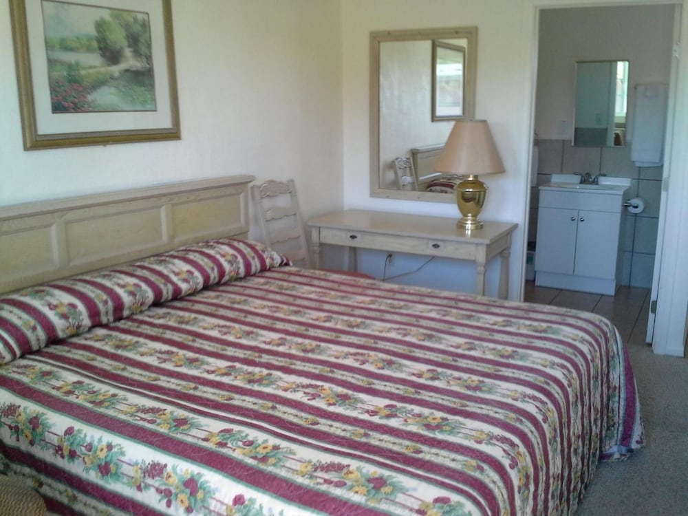 Boron Motel - photo 11