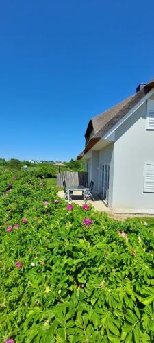 zwisch Boltenhagen und Pötenitz Ostseeurlaub bis 6 Pers Alte Liebe Haus B — 4-Star Luxury Hotel in Dassow, Germany