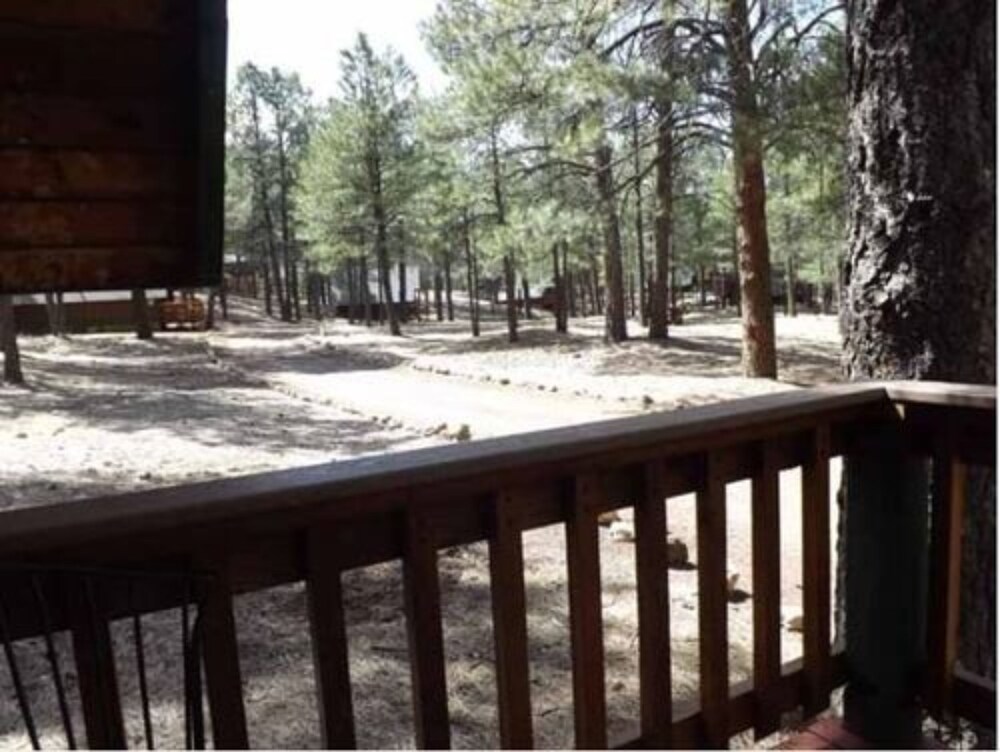 Arizona Mountain Inn and Cabins - photo 272