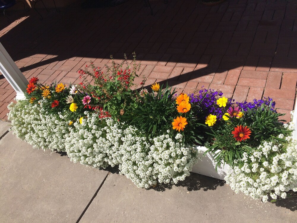 Inn on the Paseo - photo 67