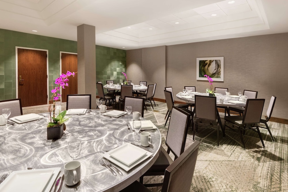 Embassy Suites by Hilton Tysons Corner - photo 25