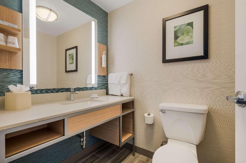 Hilton Garden Inn Rockford - photo 131