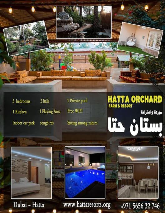 Hatta Orchard - last minute hotel in Unknown City