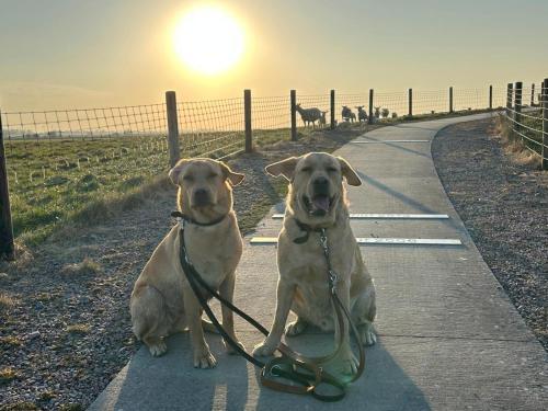 Ferienhaus Blume in Wittmund, Germany