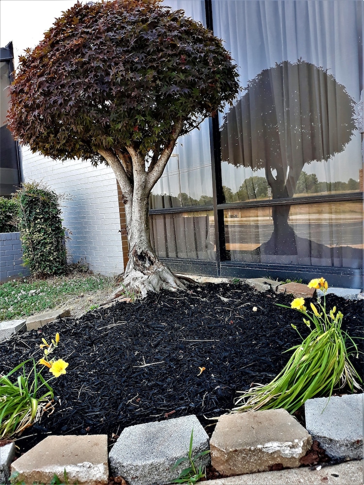 Madison Inn and Suites - photo 75