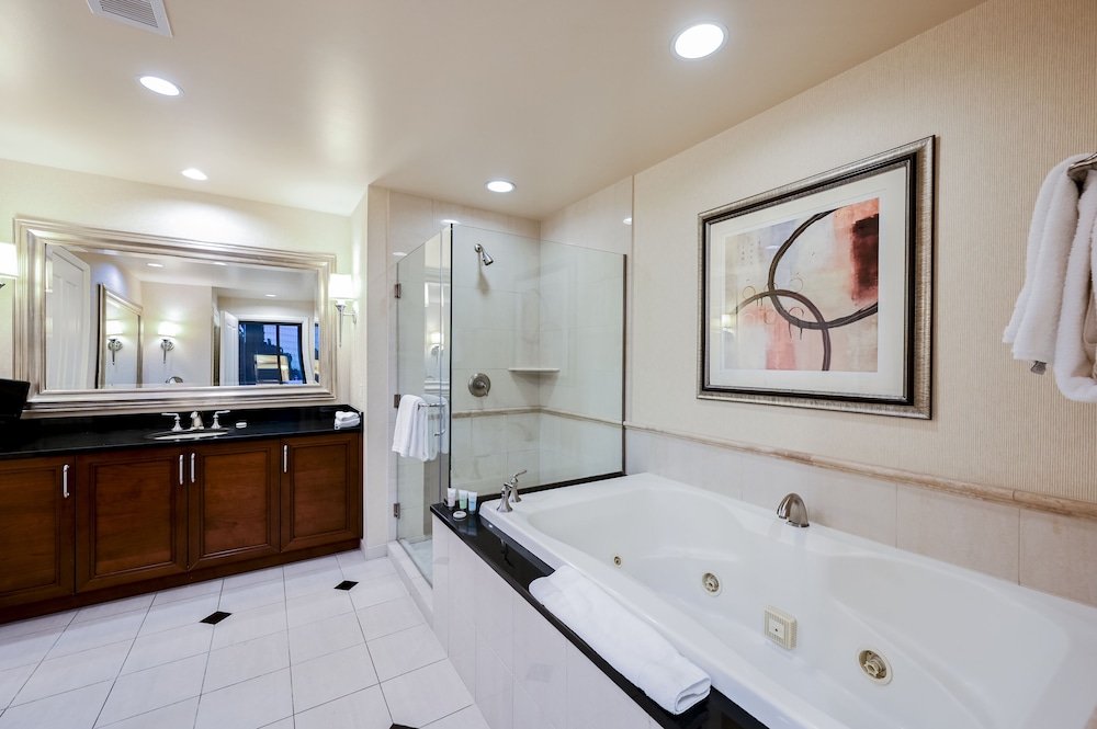 StripViewSuites at Signature - photo 196