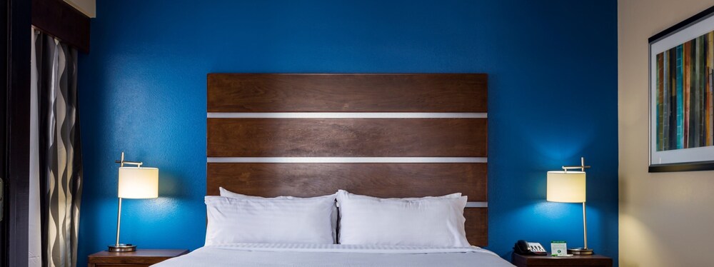 Holiday Inn Houston Downtown by IHG - photo 14