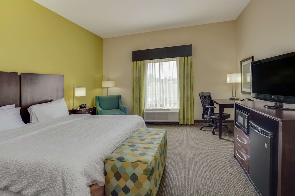 Hampton Inn Ozark - photo 9