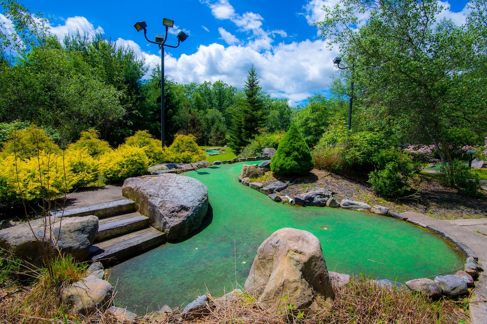 Mountain Laurel Resort - photo 35