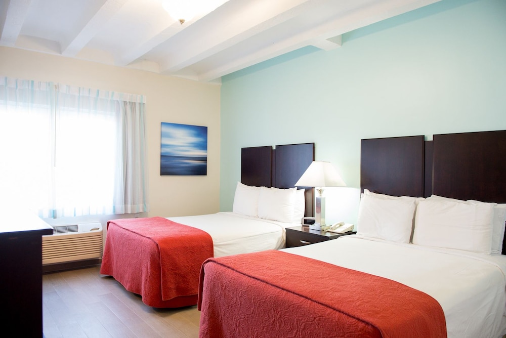 Hotel Sheldon - photo 14