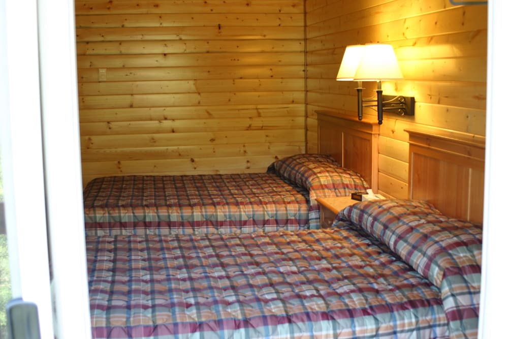Denali Grizzly Bear Resort - photo 14