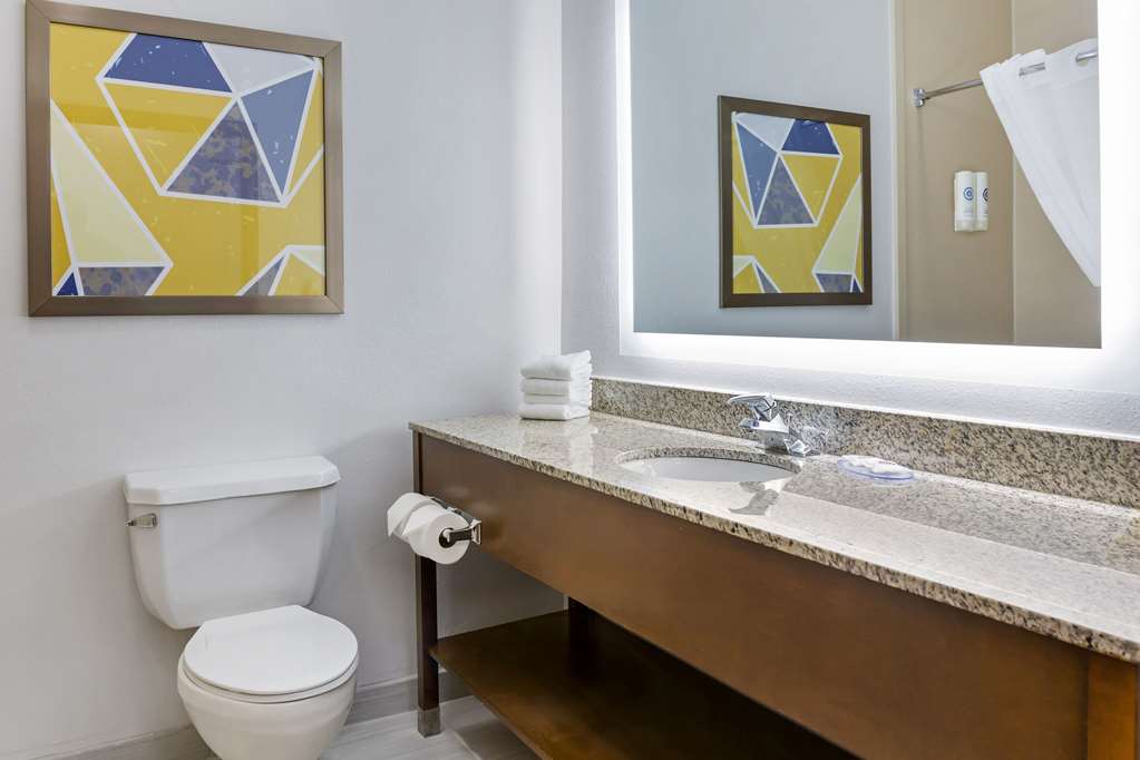 Comfort Inn & Suites Rapid City near Mt. Rushmore - photo 22