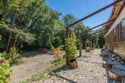 Sekvoiia in Arkhipo-Osipovka, Russia