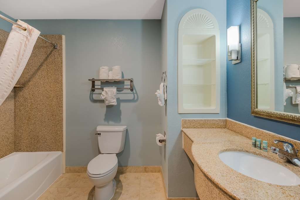 Best Western South Plains Inn & Suites - photo 19