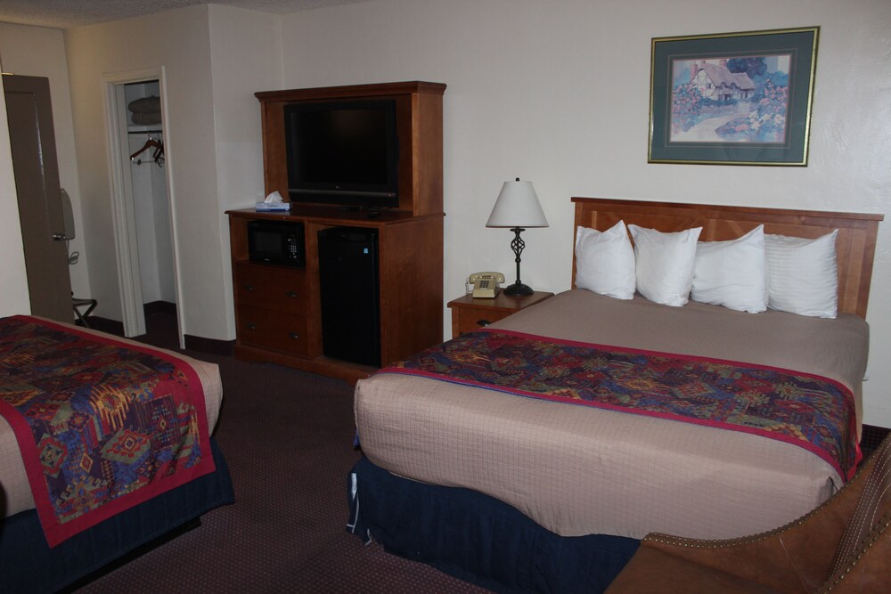 Dixie Palms Motel - photo 16