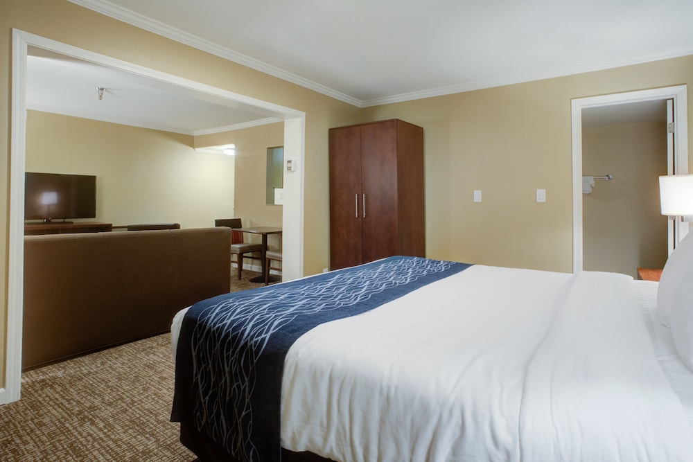 Comfort Inn Sunnyvale Silicon Valley - photo 19