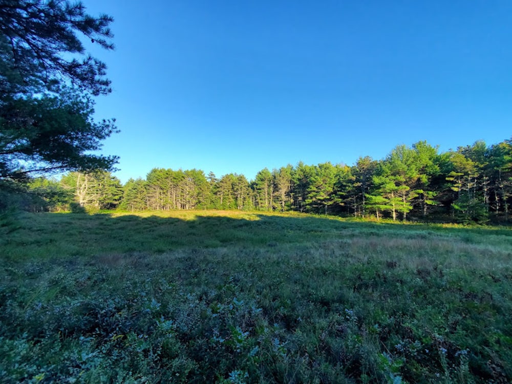 The Onset Beach Compound Cape Cod Beach Resort & Oceanic Habitat - photo 168