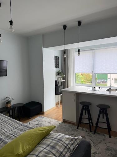 Stilingi šaulio skulptūros apartamentai — 4-Star Luxury Hotel in Druskininkai, Lithuania