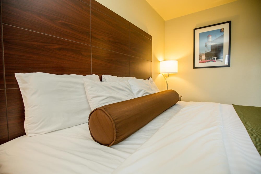 Cobblestone Inn and Suites Winterset - photo 28