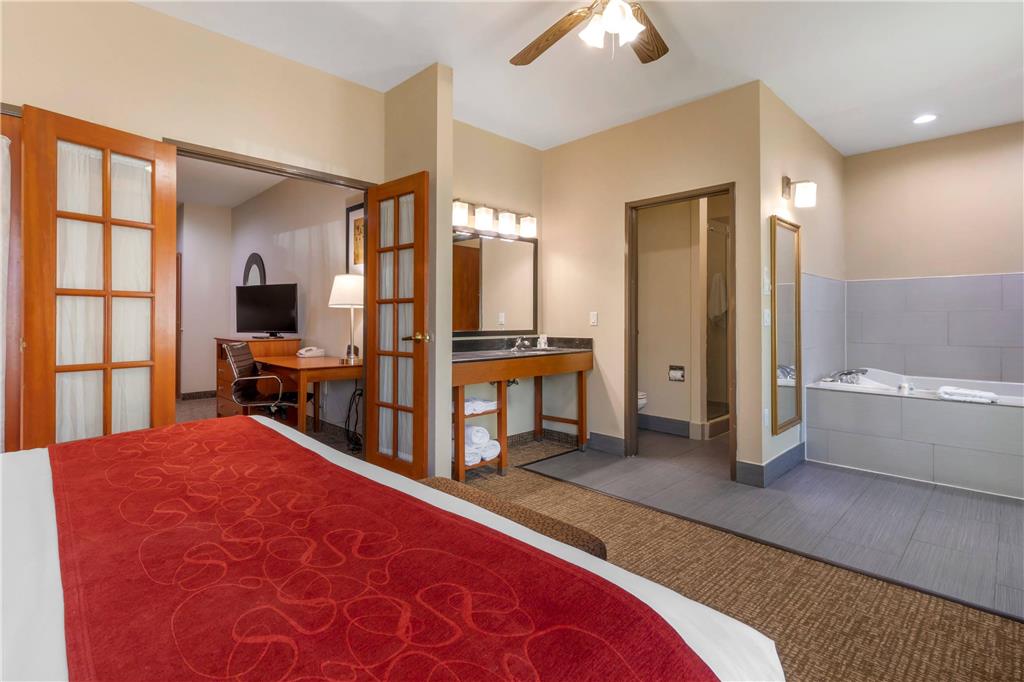 Comfort Suites North Dallas - photo 16