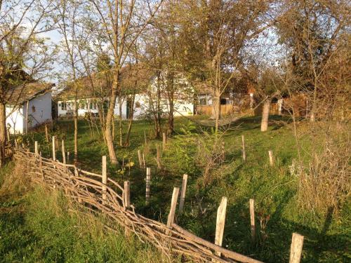 Erdősmecskei sváb vendégházak és Jurtaszállás — hotel in Mecseknadasd