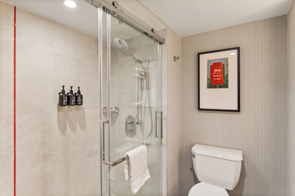 Hotel Indigo Baton Rouge Downtown by IHG - photo 80