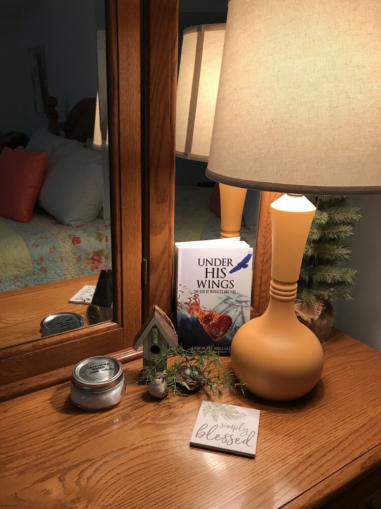 The Dwelling Place - photo 14