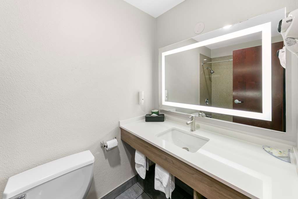 Quality Inn & Suites Sacramento Downtown Area - photo 14