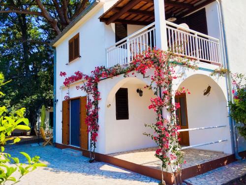 Holiday house Pinus Pinea — 4-Star Luxury Hotel in Orebic, Croatia