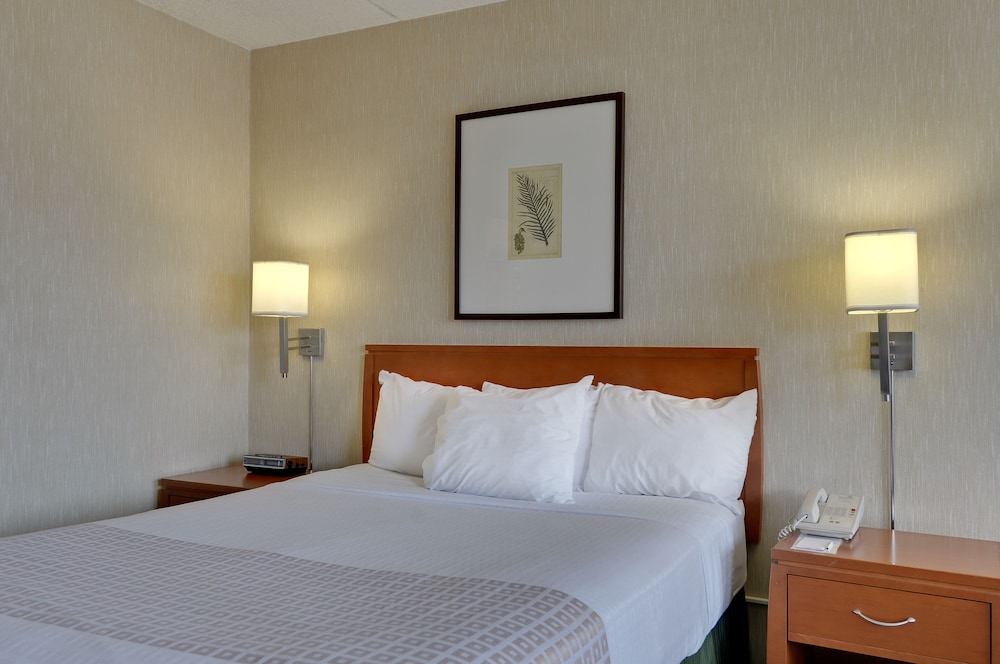 Vagabond Inn Los Angeles at USC - photo 3
