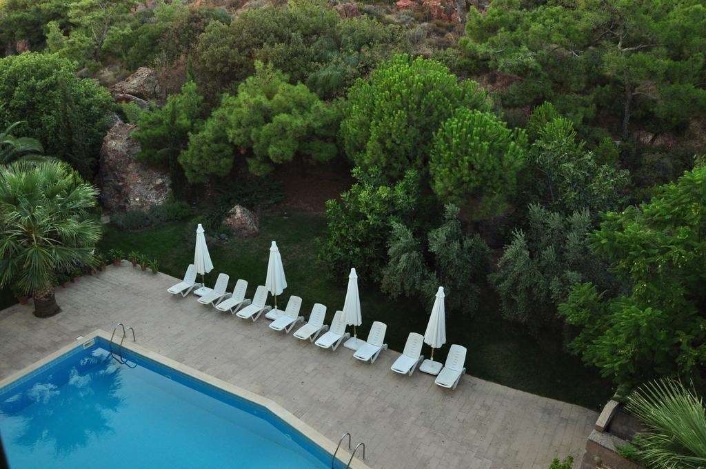 Palm Court Suites — Ayvalik — photo 4