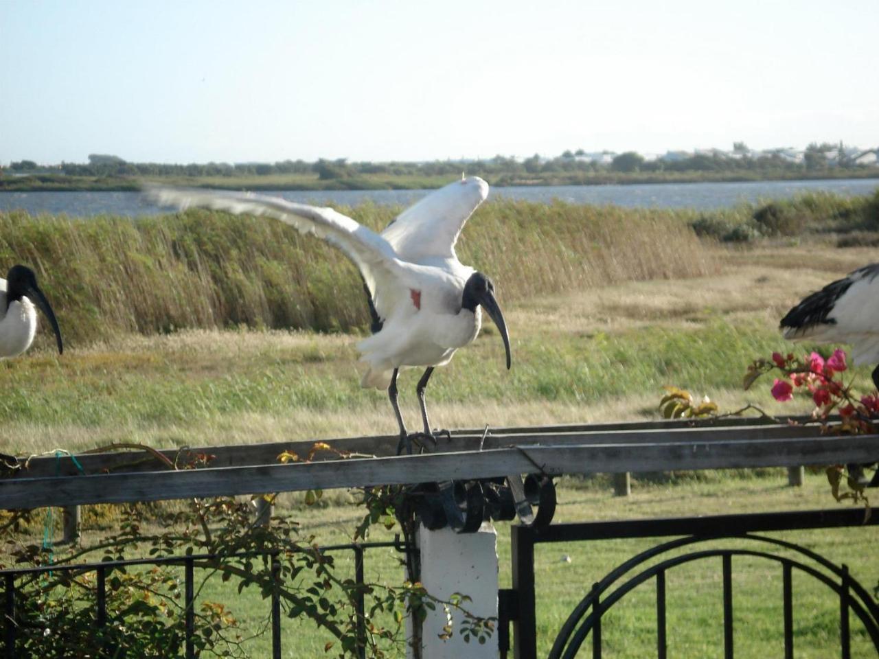 The Speckled Egg 4 Promenade Rd Lakeside Cape Town
