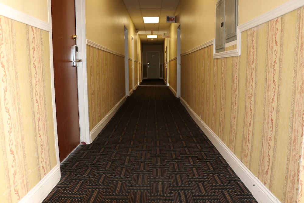 Europa Hotel - photo 53