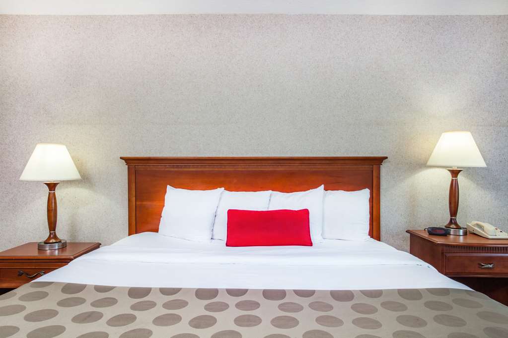 Ramada by Wyndham Jacksonville I 95 by Butler Blvd - photo 39