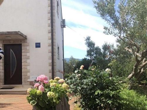 Apartments with parking space Sucuraj Hvar 22239 — 4-Star Luxury Hotel in Sucuraj, Croatia