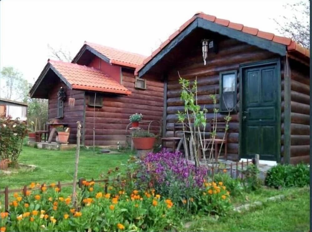 Agva Tartaruga Motel in Kemer, Turkey