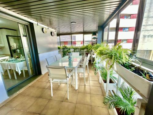 Gatu Cream Terraza Parking Aire Acc Piscina Comun Preferente Mayores de 25 Anos Y Familias in El Puerto De Santa Maria, Spain