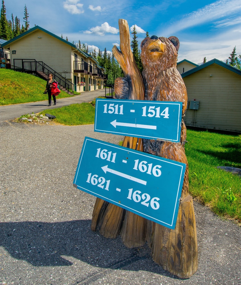 Denali Bluffs Hotel - photo 39