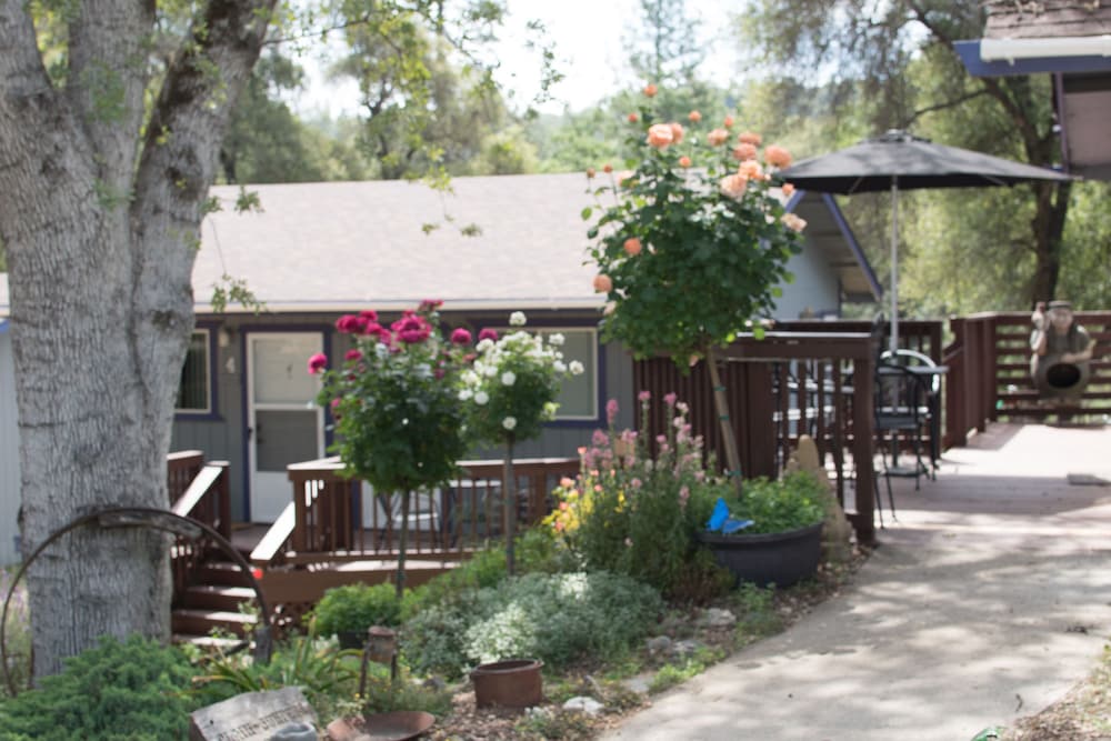 Little Valley Inn - photo 51