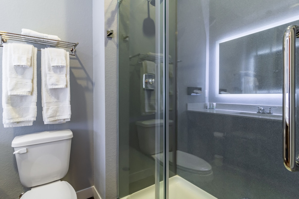 Scottish Inns & Suites Houston TX - photo 28