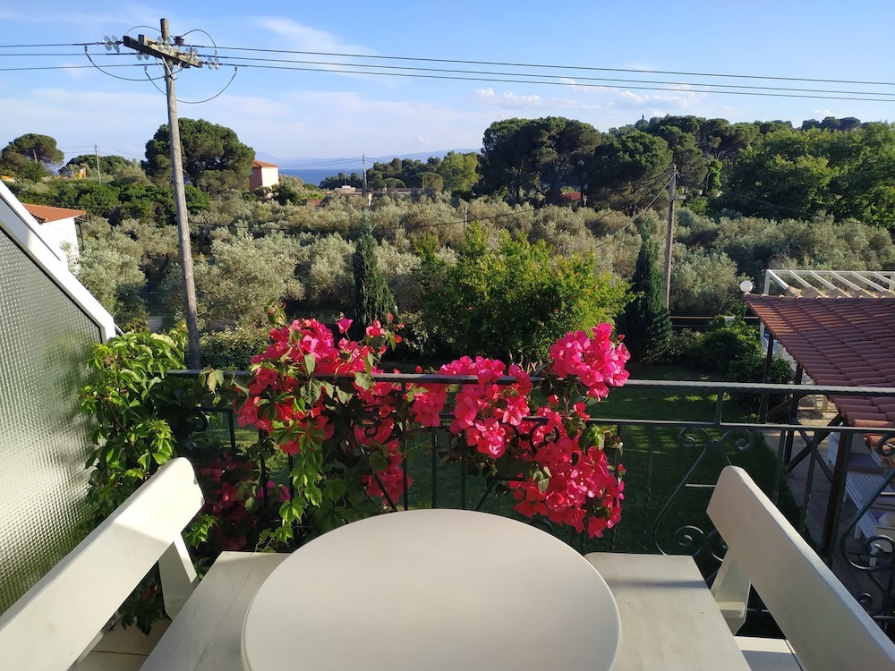 Hotel Esperos in Skiathos, Greece