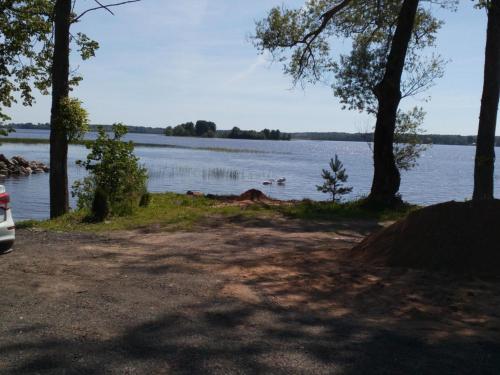 Altuf’ev bereg in Luga, Russia