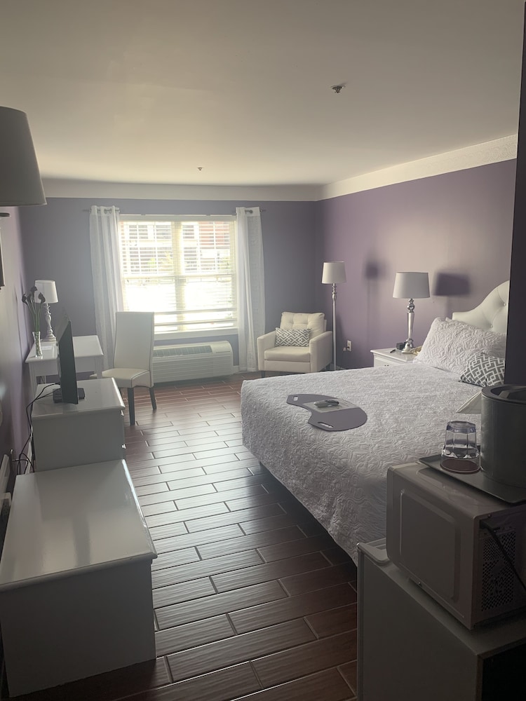 French Quarter Inn - photo 18