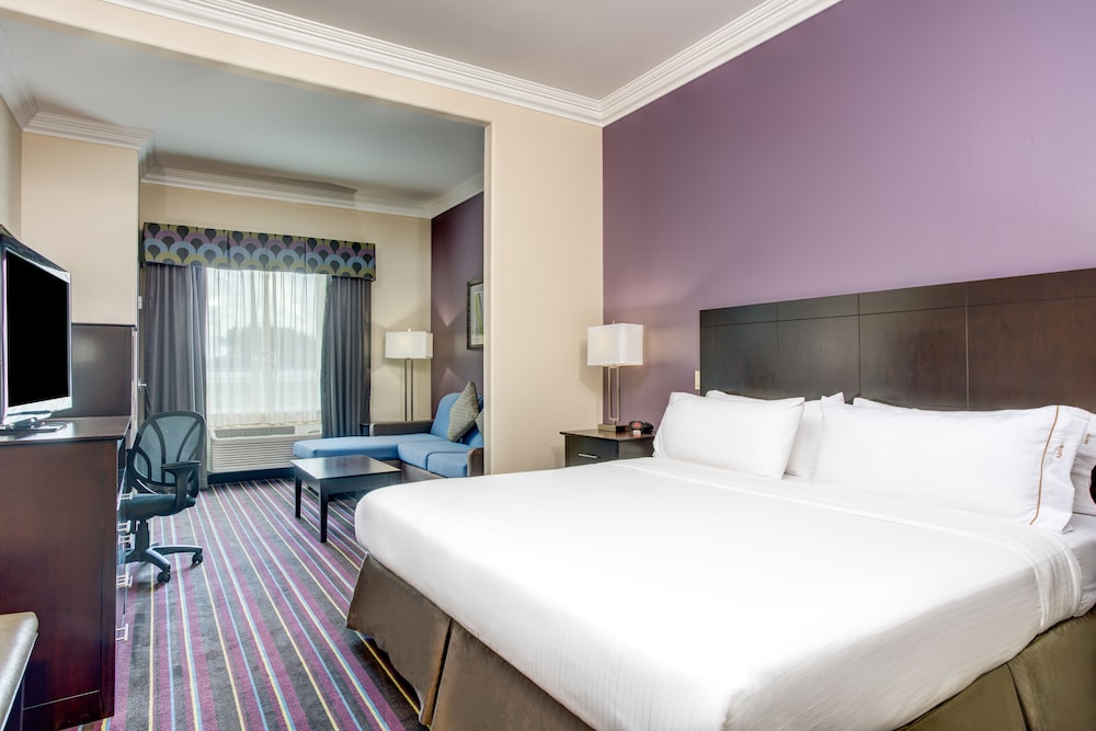 Holiday Inn Express Hotel & Suites Raceland Highway 90 by IHG - photo 15