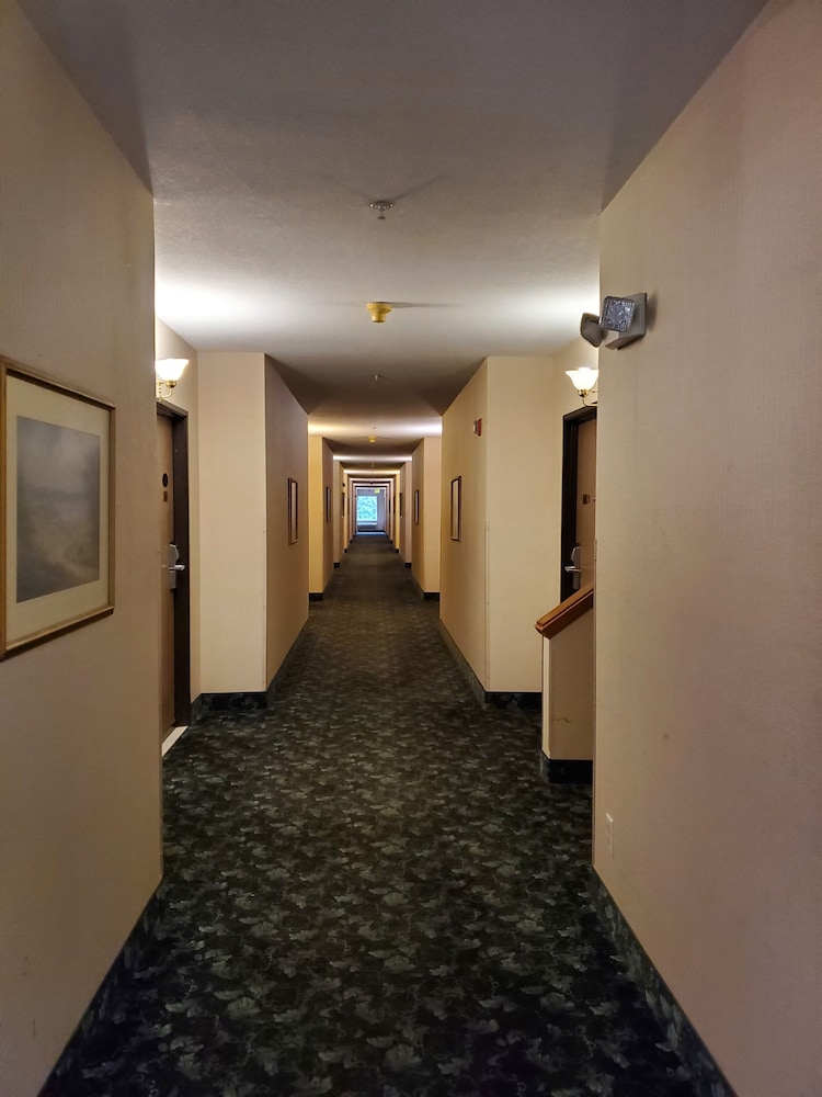 Bellis Inn - photo 28